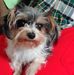 Profile Picture of Delphia Goodman (@Delphia-Goodman) on Facebook
