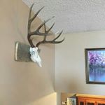 Profile Picture of james.waldo (@james.waldo6639) on Instagram