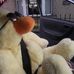 Profile Picture of Geoffrey Quackers (@geoffrey.quackers) on Facebook