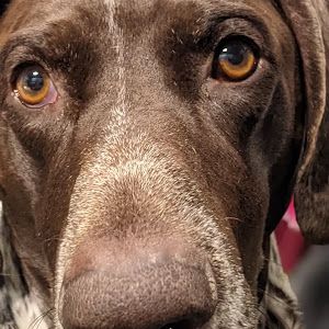 Profile Picture of James Gose (@james.gose) on Tiktok