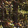 Profile Picture of shiv patel (@shivp618) on Flickr