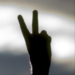 Profile Picture of David Brewer (@david_m_brewer) on Instagram