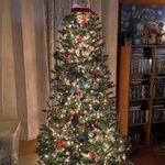 Profile Picture of Robin Snellen Higginbotham (@robinhiggy) on Instagram