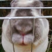 Profile Picture of Jean Paul Andree Velasco Mons (@jeanpaulandreevelascomons8693) on Youtube