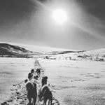 Profile Picture of Eric Oden (@leif_ericsson__) on Instagram