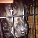 Profile Picture of Alex Mauger (@mauger.alex) on Instagram