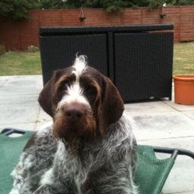 Profile Picture of Sharon Page (@shaz2522) on Twitter