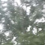 Alex - Instagram Profile Picture of Alex (@alex_gustinger) on Instagram