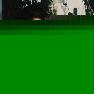 Profile Picture of Bob Dinardo (@bobdinardo) on Myspace