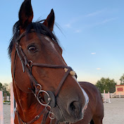 Profile Picture of Audrey Wilson (@audreywilson3033) on Youtube