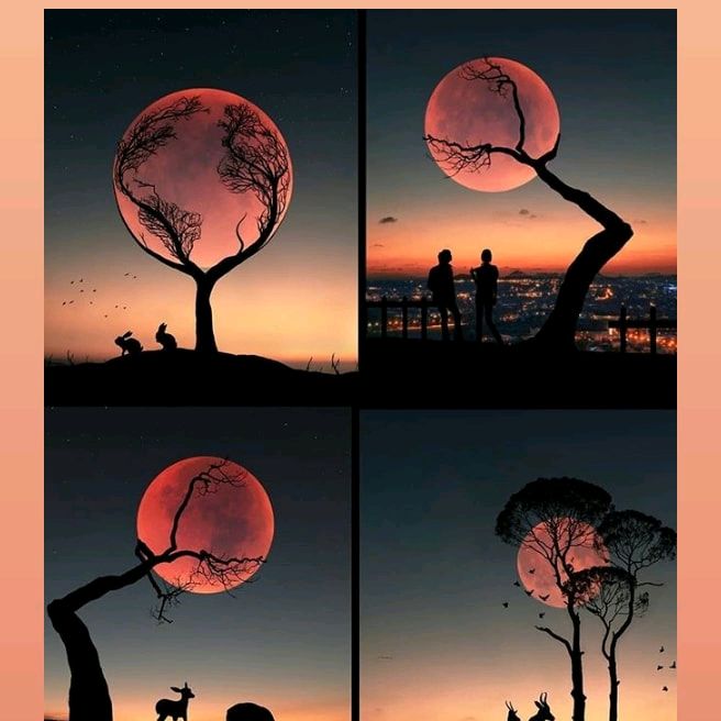 Profile Picture of Richard Fucciolo Fuc (@richardfucciolofucciolo) on Tiktok