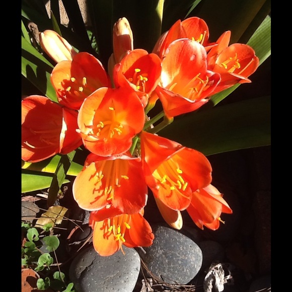 Profile Picture of Jo Towry (@jotowry) on Poshmark