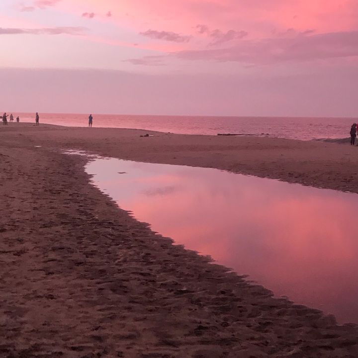 Profile Picture of David Loose Jr. (@davidloosejr) on Tiktok