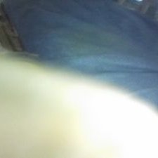 Profile Picture of Randy Allen Schock (@randy_schock) on Twitter