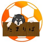たまりば〜スポーツ観戦ができるダイニングバー〜 - Instagram Profile Picture of たまりば〜スポーツ観戦ができるダイニングバー〜 (@tamariba_soccer) on Instagram