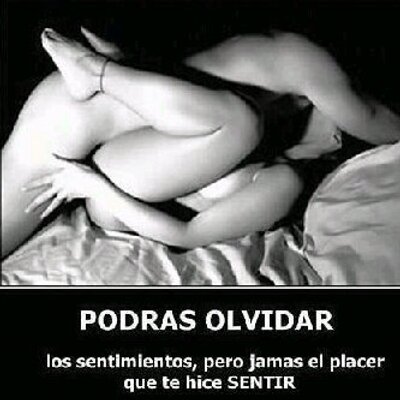 Profile Picture of Guillermo Urena (@bill051029) on Twitter