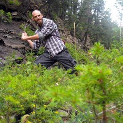 Profile Picture of Carlin (@gadiwalla) on Twitter