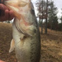 Profile Picture of Christopher Hicklin (@christopher-hicklin) on Quora