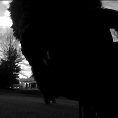 Profile Picture of Joe (@JoeCogliano) on Twitter