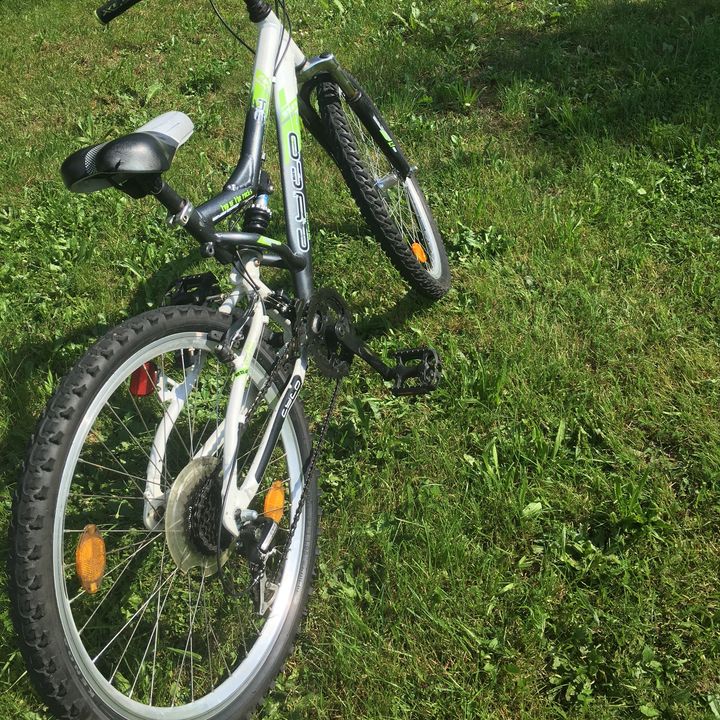 Profile Picture of Daniel Eggenberger (@derbikerboy) on Tiktok