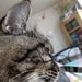 Profile Picture of Nancy Ansel (@nancyansel) on Pinterest