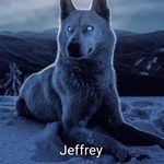 Profile Picture of Jeffrey Brant (@kc2ioi1) on Instagram