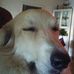 Profile Picture of Allen Skeen (@allen.skeen.9) on Facebook