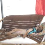 Profile Picture of Michael Jahnert (@michaeljahnert) on Instagram