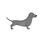 Profile Picture of dachshund of instagram (@dachshund.owners) on Instagram