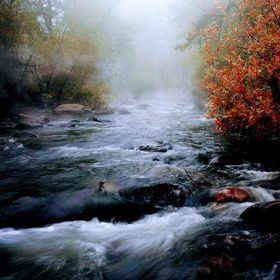 Profile Picture of Ramon Mario Munoz Jr (@ELGRUMPY71) on Pinterest