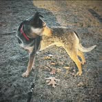 Profile Picture of Marshall McGee (@marshall.mcgee.290212) on Facebook