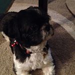 Profile Picture of Sylvia Simms (@sylvia.simms.796) on Instagram