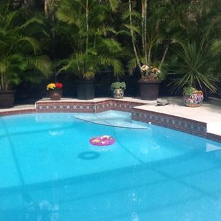 Profile Picture of Clover Fox (@Clover-Fox) on Facebook