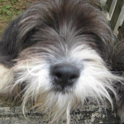 Profile Picture of Sharon Skeen (@@IamZacharysMomm) on Twitter