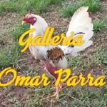 Profile Picture of Omar Parra (@omar.parra.391) on Instagram