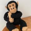 Profile Picture of Dave Harvest Barclay (@@davethechimp) on Tiktok