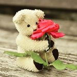 Profile Picture of Maneesh Patel (@manish_77sl) on Instagram