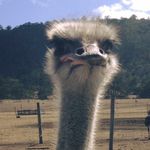 Profile Picture of Brady Barwick (@brady.barwick) on Instagram