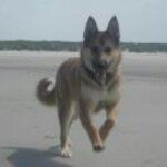 Profile Picture of Thomas Hoekstra (@thomashoekstra22) on Instagram