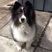 Profile Picture of Finley Maunula (@finleymaunula) on Pinterest