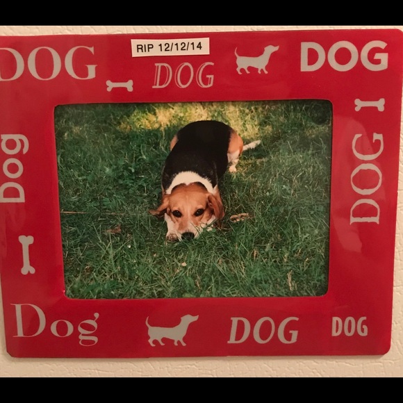 Profile Picture of Marilyn Oneill-clay (@poshmark040718) on Poshmark