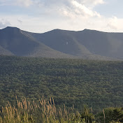 Profile Picture of Michael Bilodeau (@michaelbilodeau3000) on Youtube