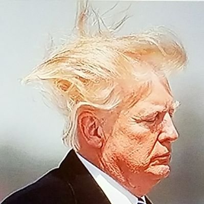 Profile Picture of Morgan Bryce (@calijulius) on Twitter