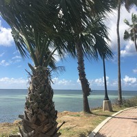 Profile Picture of Kim Grenon (@kim-grenon-1) on Quora