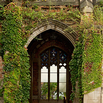 Profile Picture of Marcin Dolata (@myphotomd) on Flickr