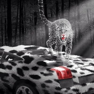 Profile Picture of Kyle Kraft (@kylekraft01) on Twitter