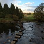 Profile Picture of Millie (@millie.reid) on Instagram