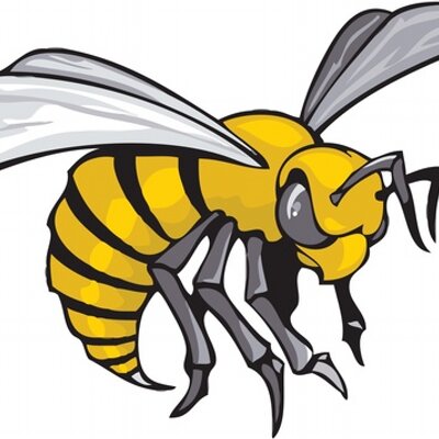 Matt Southard - Twitter Profile Picture of Matt Southard (@Rusthornet64) on Twitter