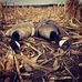 Profile Picture of Nolan Hoff (@nolan.hoff.5) on Facebook