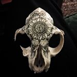 Profile Picture of Jon (@fairstranger) on Instagram